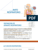 Aparato respiratorio: definición, funciones y estructuras