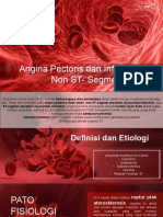 Angina Pectoris NSTEMI