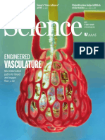 Science20190503 Main DL Engineered Vasculature
