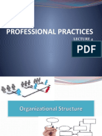 Professional Practices Lecture 4