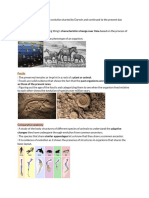 Evidence For Evolution - Formative A