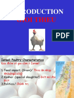 Poultry Lesson 1 Introdution
