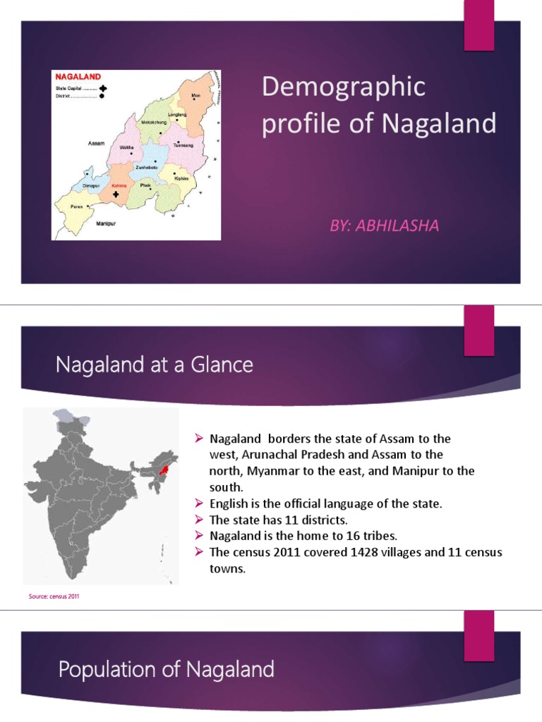 Nagaland Demographic Profile PDF Gross Domestic Product Population