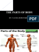 The Parts of Body: By: Nanda Rosi Parera