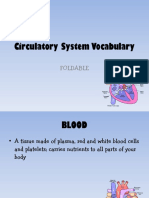 Circulatory System Vocabulary: Foldable