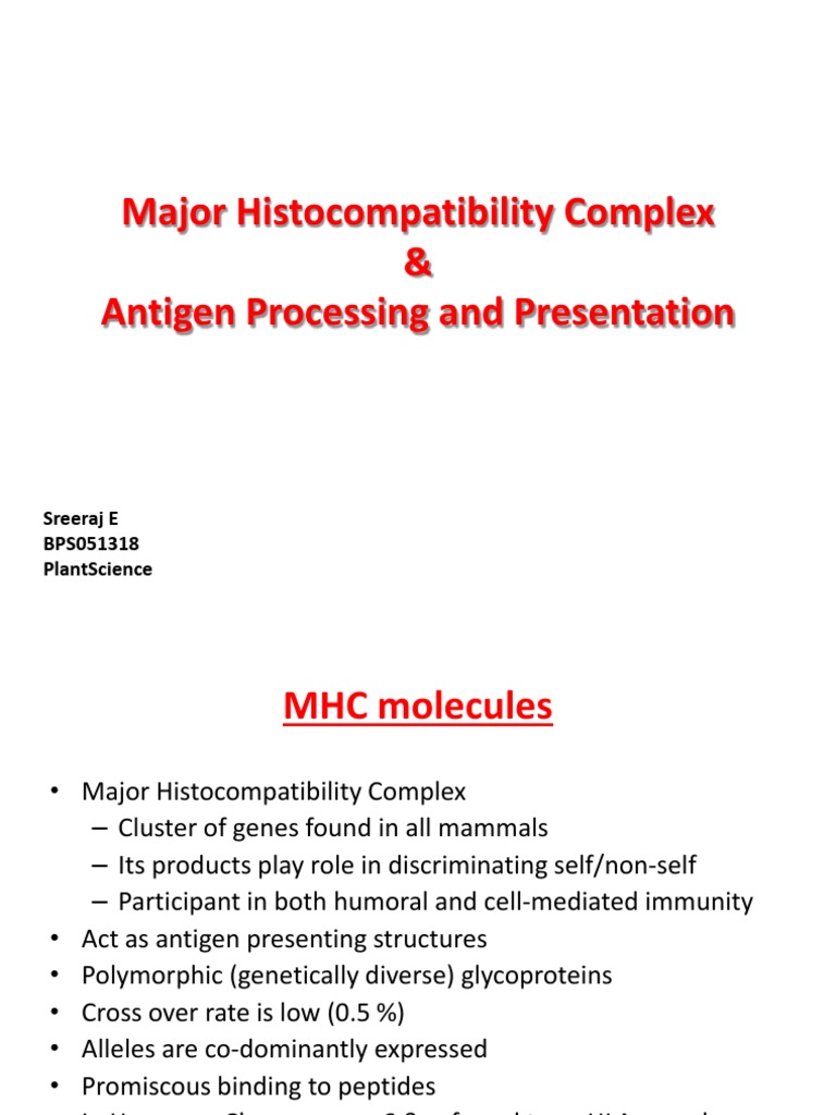 Understanding Antigen Processing and Presentation by the Major