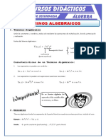 Término Algebraico para Primero de Secundaria