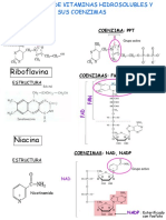 ESTRUCTURAS DE VITAMINAS y COENZIMAS