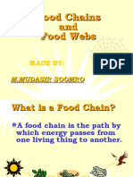 Food Chains and Food Webs