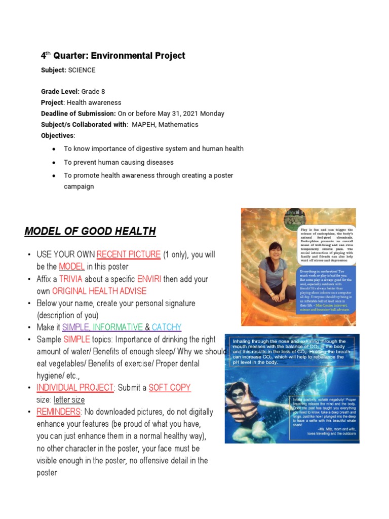 4 Quarter: Environmental Project: Model of Good Health | PDF