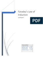 Faraday's Law Lab Report Summary