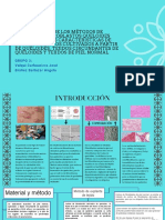 Comparación de los Métodos de Cultivo de Fibroblastos Queloides Primarios y las Características de los Fibroblastos Cultivados a partir de Queloides, Tejidos Circundantes Queloides y Tejidos Cutáneos Normales