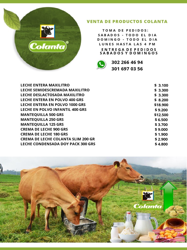 Catálogo de Productos Colanta | PDF | Queso | Lechería