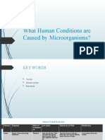 What Human Conditions Are Caused by Microorganisms