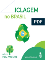 Reciclagem No Brasil