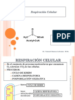 Conf 6 Bioenergetica y Respiracion Celular.ppt (1)