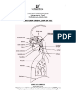 437681527 375777635 Anatomia e Fisiologia Da Voz PDF PDF (1)