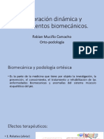 Biomecanica Exploración Dinámica