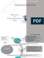 Mapa Conceptual S.A.S