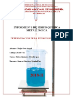 Informe 1 Ficometa