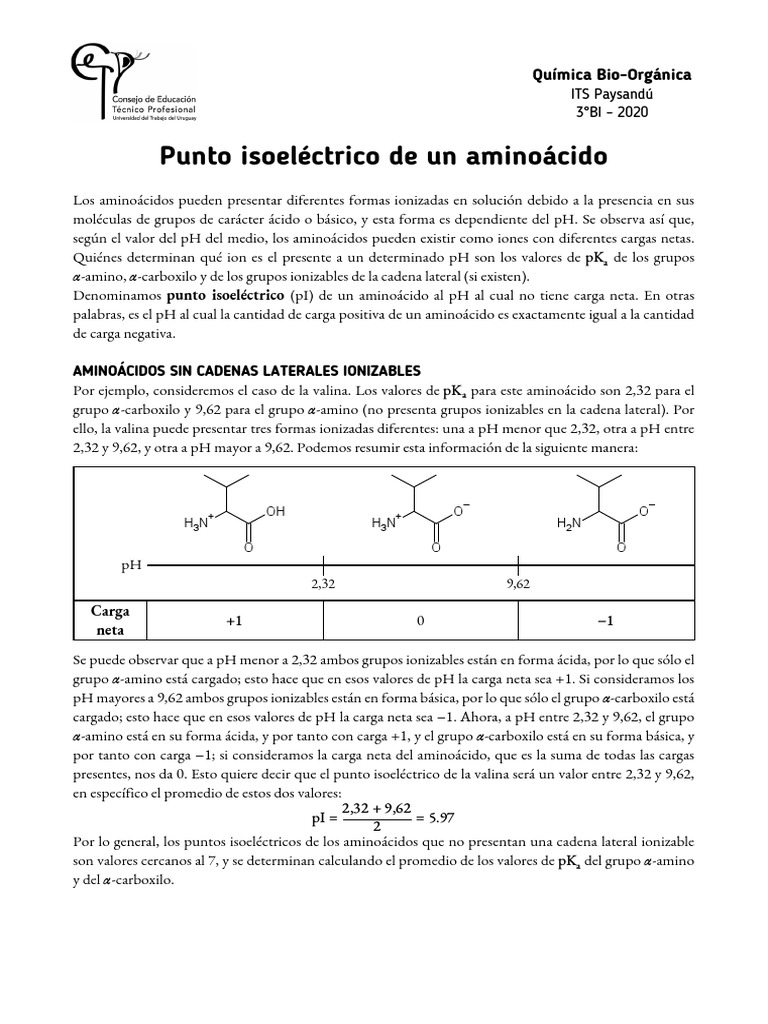 2 Punto Isoeléctrico PDF Aminoácidos Ph