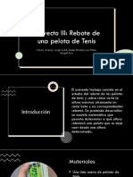 Proyecto III