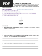 Energy Content of Food Lab