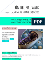Bioquimica_Oxidacion Del Piruvato