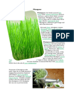 Wheatgrass: Wheatgrass Is The Freshly Sprouted
