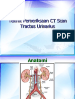 CT Urinary Sistem