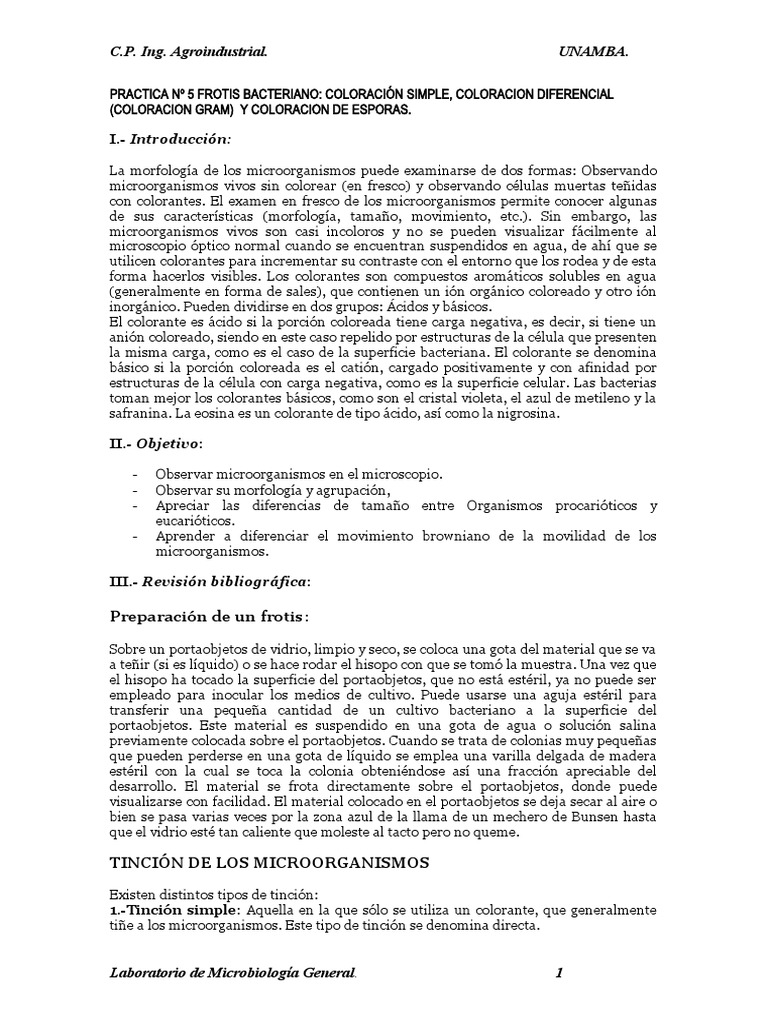 Practica #5 Tecnicas de Coloración | PDF | Las bacterias | Tinción