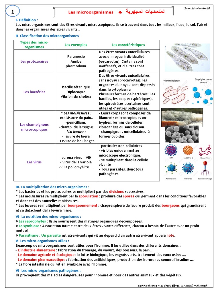 Classification Et Types De Microorganismes PDF Micro organisme 