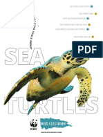 Sea Turtle Fun Facts: Educator'S Resource Guide