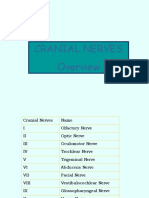 01 Cranial Nerve Overview