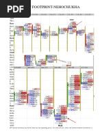 Important Footprint-Nehochukha Patterns