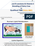 Ss-Carotene & Breeding of Dairy Cow With Qualifeed 7080 (Extra A&E)