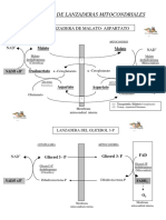 Diagrama de Lanzaderas