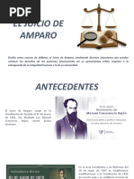 Infografia Juicio de Amparo | PDF
