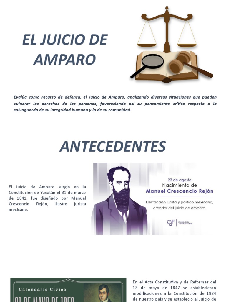 El Juicio de Amparo | PDF | Derecho Constitucional | Constitución