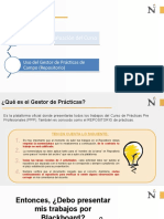 01. PPT -GESTOR DE PRACTICAS