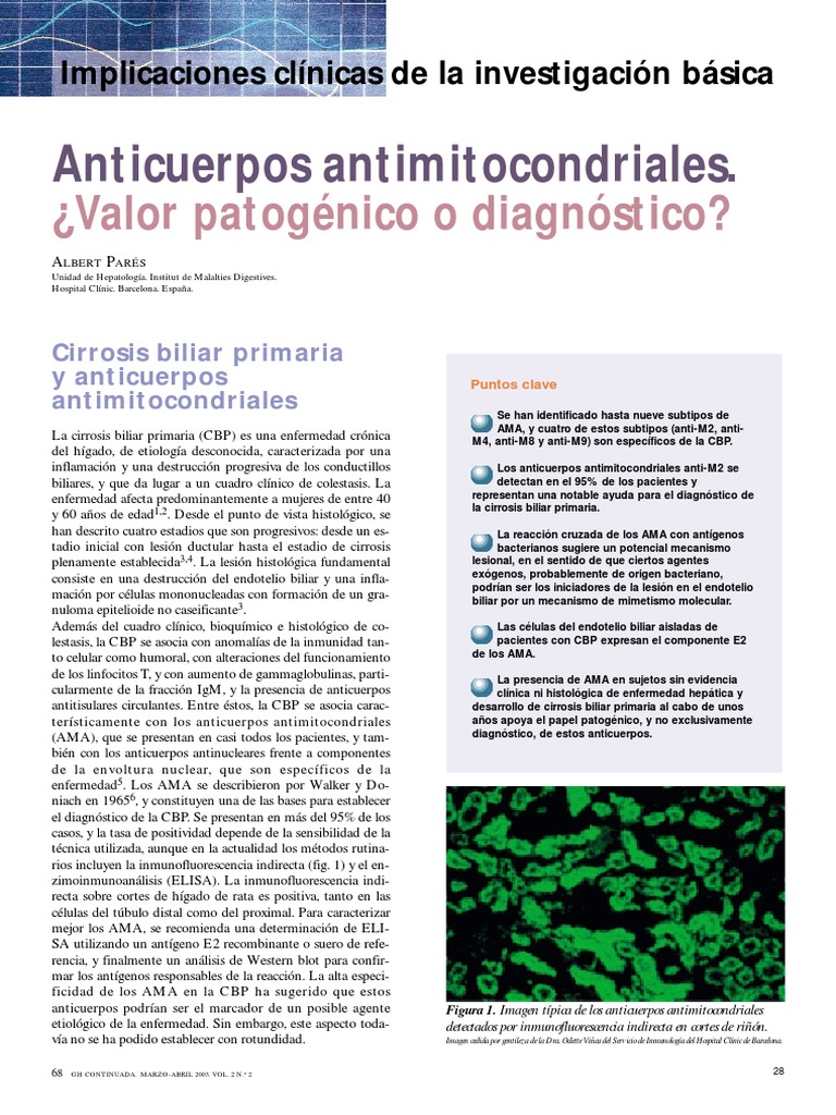 Anticuerpos Antimitocondriales. ¿Valor Patogénico o Diagnóstico? PDF