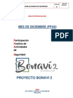 Ppas - Hse Diciembre 2018