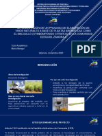 Implementacion Del Desarrollo de Un Vino Natural de Malojillo Ubv Osneiver Noviembre 2020