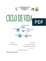 CICLO DE VIDA, UNIDAD III