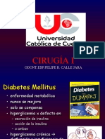 6.-Diabetes s. Metabolico2