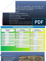 historia arq. peruana tema de edad litico