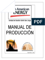Manual de Produccion Pae-2002 y Reglas de Oro Espacios Confinados, Excavacion, Etc