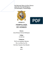 INFORME N°2 - MORFOLOGÍA DE HONGOS