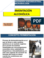 Sesion Ix Fermentacion Alcoholica