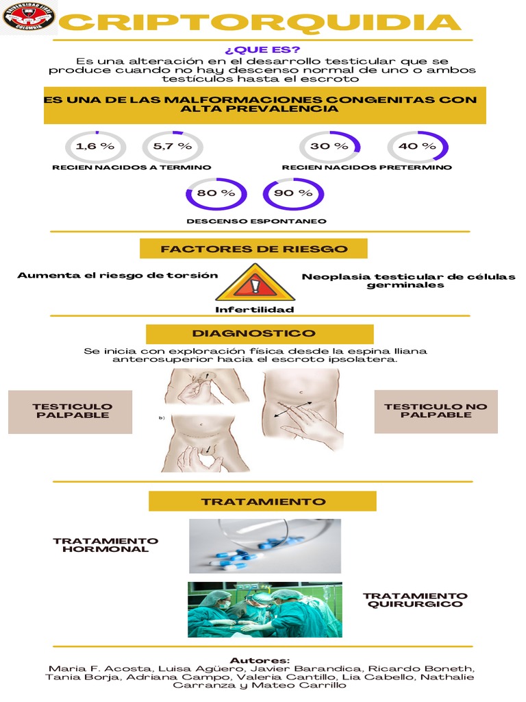 CRIPTORQUIDIA | PDF